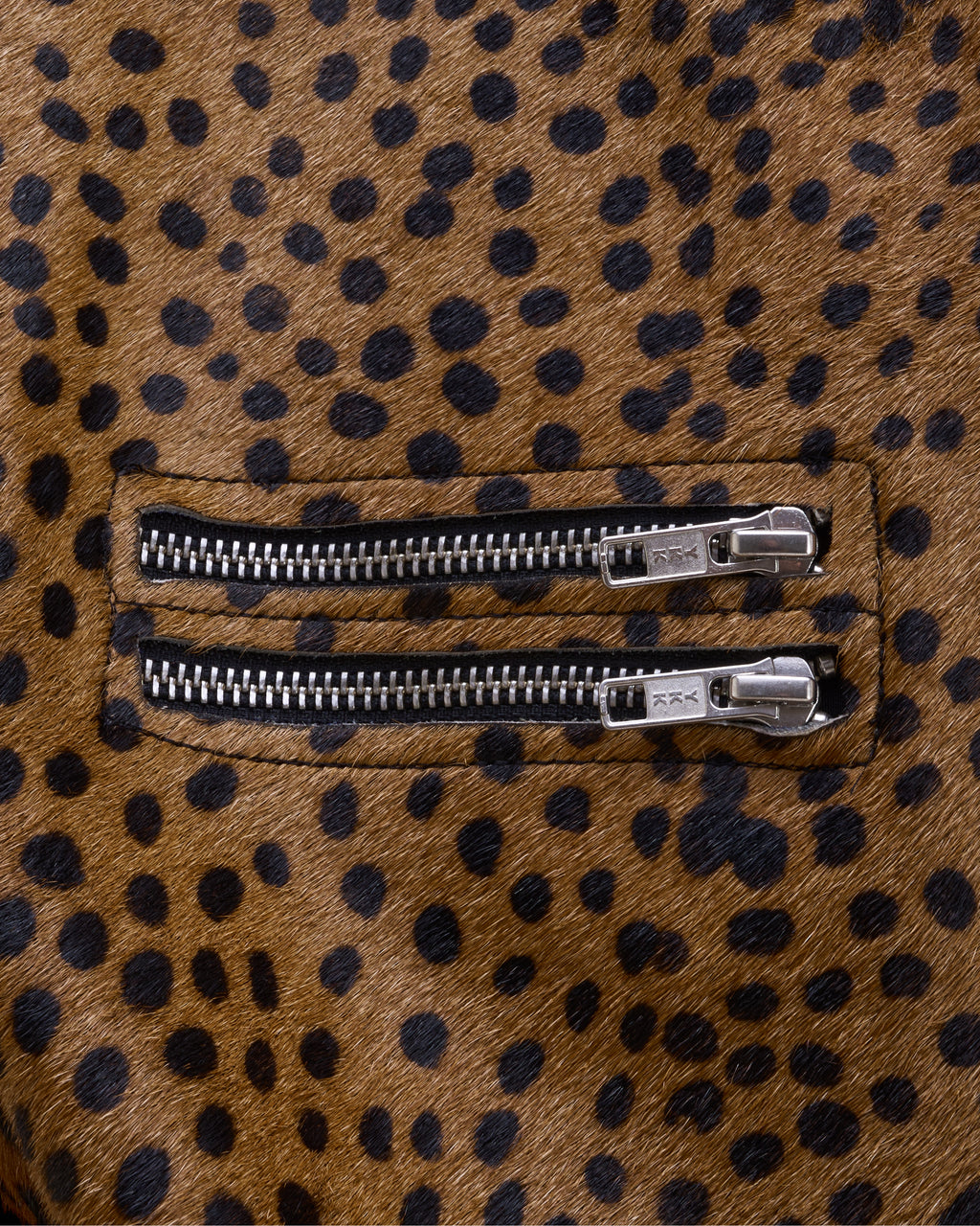 Dotted feline jacket