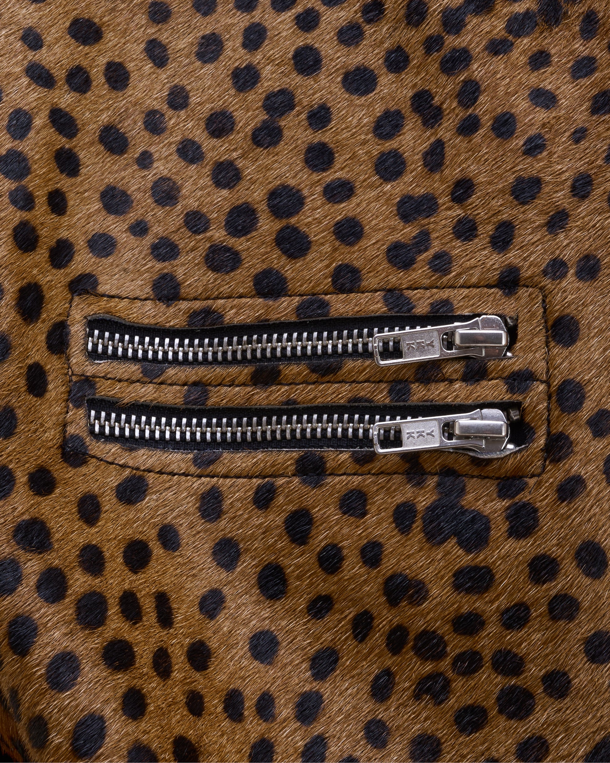 Dotted feline jacket